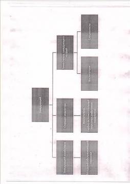 Схема структуры органов управления в МАДОУ детский сад "Ёлочка"